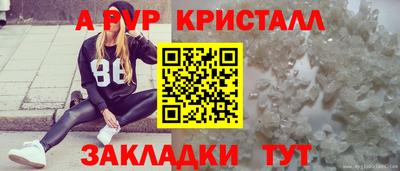 дурь Гай