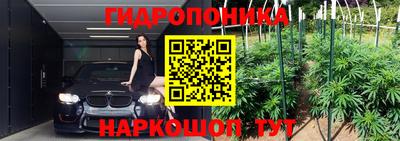 дурь Гай