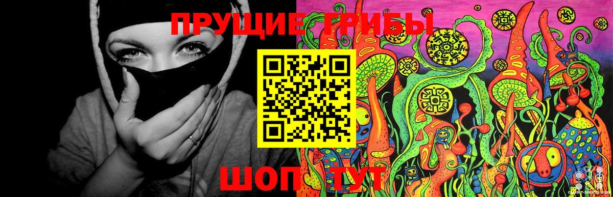 купить  сайты  Псилоцибиновые грибы Magic Shrooms  Вход с VPN  Мелеуз 